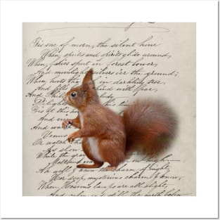 dark academia autumn fall fairytale scripts woodland animal squirrel Posters and Art